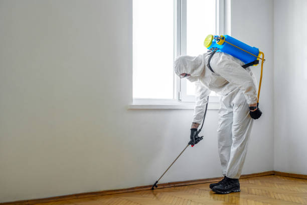 Best Emergency Pest Control  in Port Angeles, WA