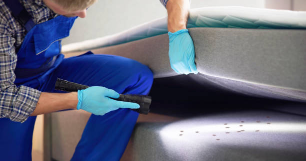 Best Commercial Pest Control Services  in Port Angeles, WA