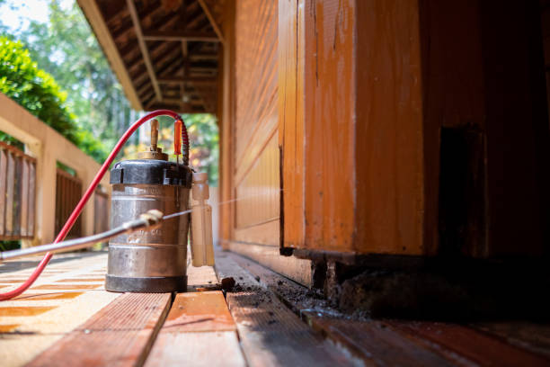 Best Pest Removal Services  in Port Angeles, WA