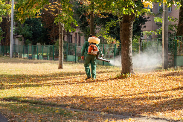 Best Residential Pest Control  in Port Angeles, WA